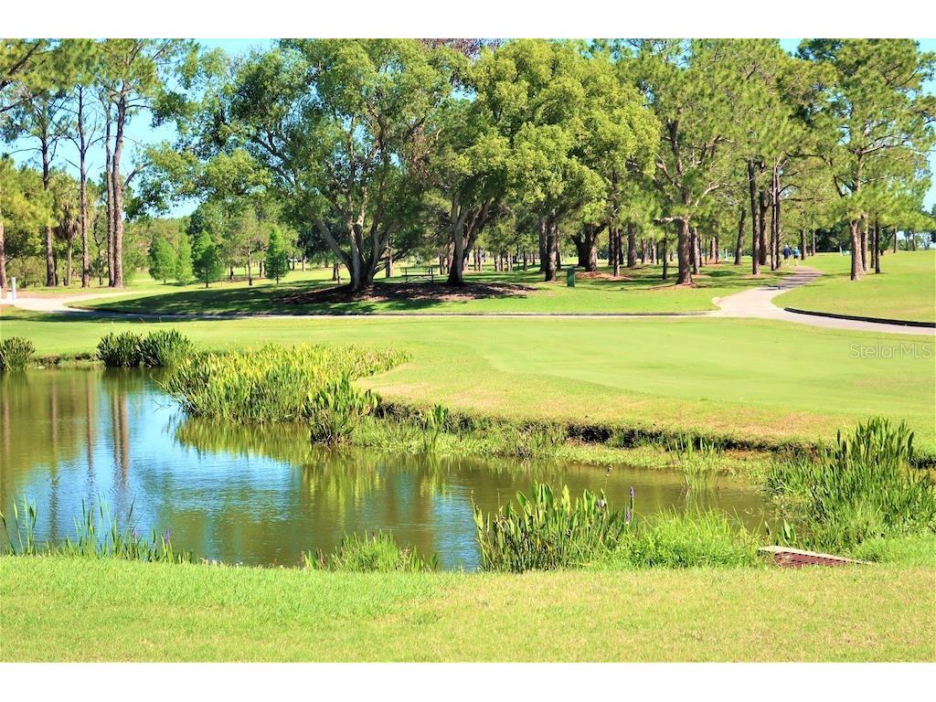 3681 Ridgemont Court Palm Harbor FL 34684 - LAKE TARPON TB8446460 image54