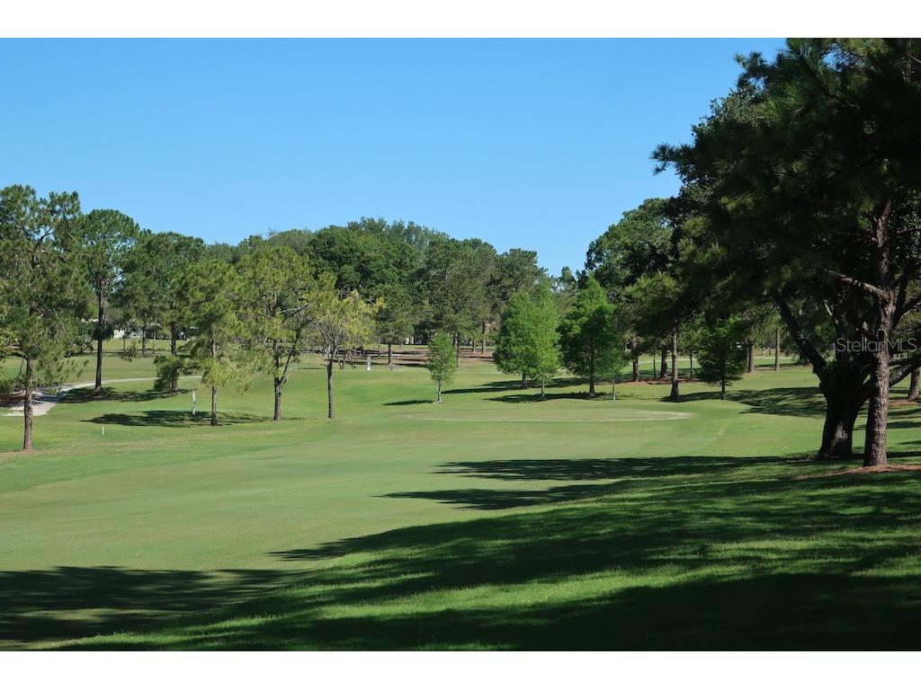 3681 Ridgemont Court Palm Harbor FL 34684 - LAKE TARPON TB8446460 image55