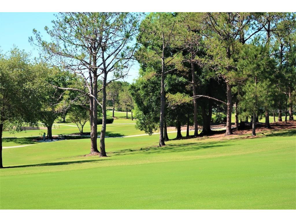 3681 Ridgemont Court Palm Harbor FL 34684 - LAKE TARPON TB8446460 image56