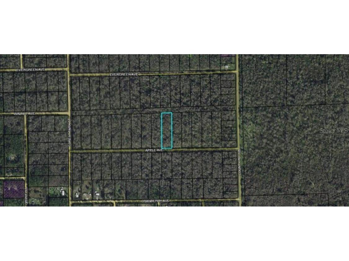 3682 Apple Avenue Bunnell FL 32110 C7470222 image1