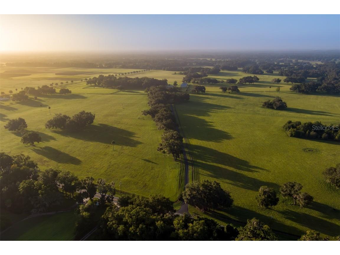 3682 W Highway 318 Citra FL 32113 OM711197 image20