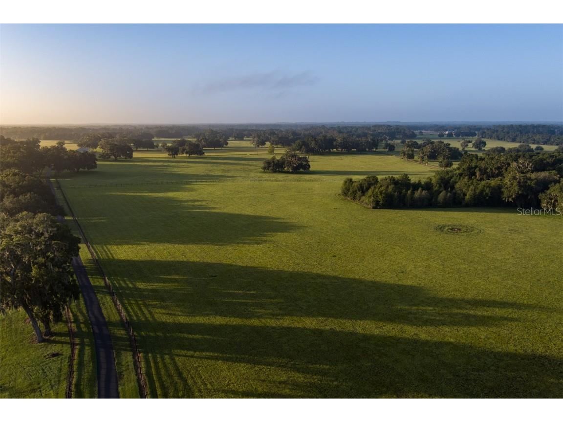 3682 W Highway 318 Citra FL 32113 OM711197 image23