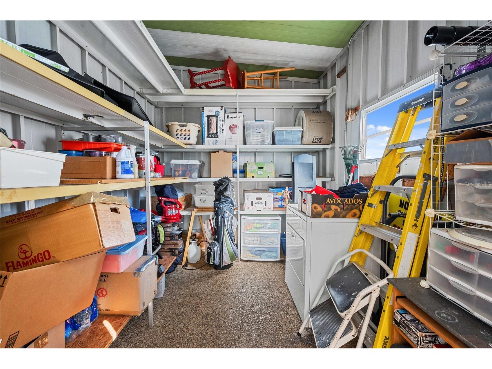 36821 Grace Avenue Zephyrhills FL 33542 TB8475208 image22