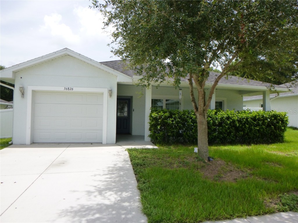 36826 Annika Way Dade City FL 33523 T3542902 image1