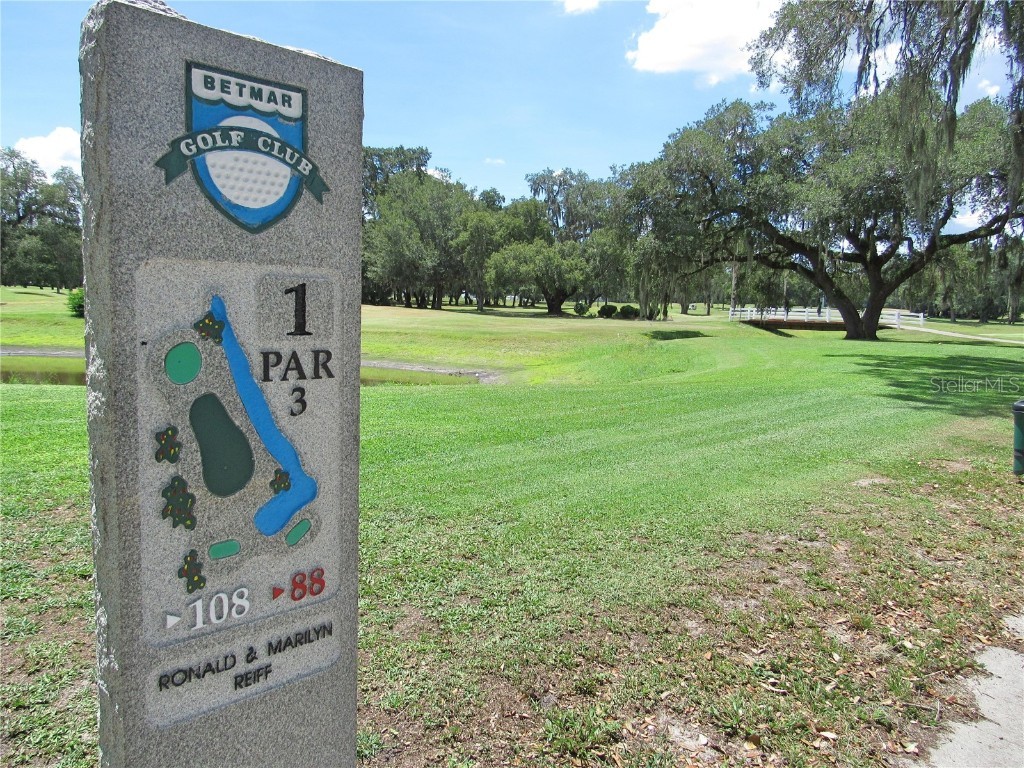 36827 Grace Avenue Zephyrhills FL 33542 TB8439352 image35