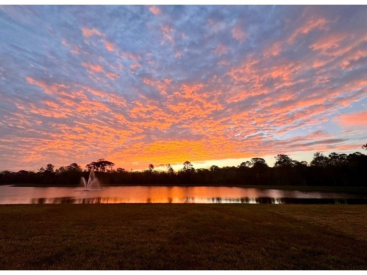 3683 Botanical Way Sanford FL 32773 O6426277 image50