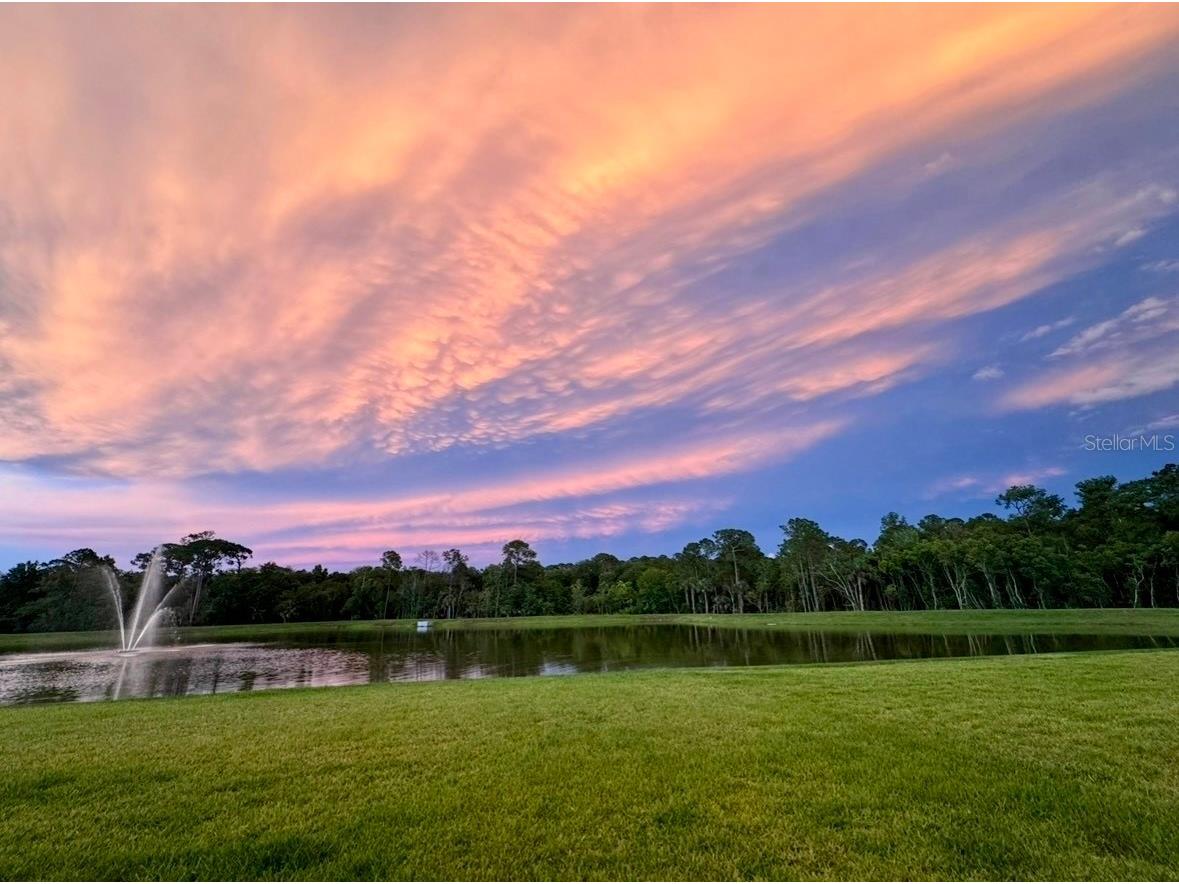 3683 Botanical Way Sanford FL 32773 O6426277 image51