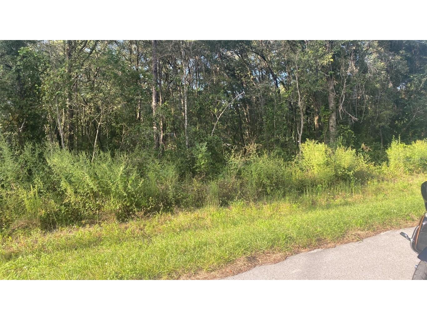 3683 E Baxley Place Inverness FL 34453 O6250864 image1