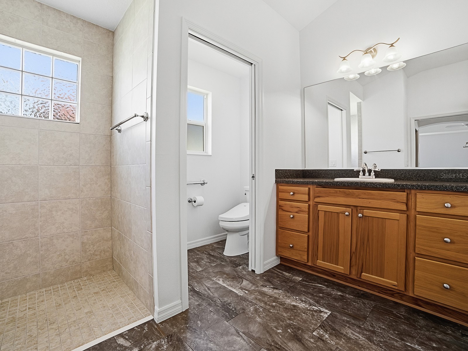 3683 Fir Street The Villages FL 32163 G5115078 image13