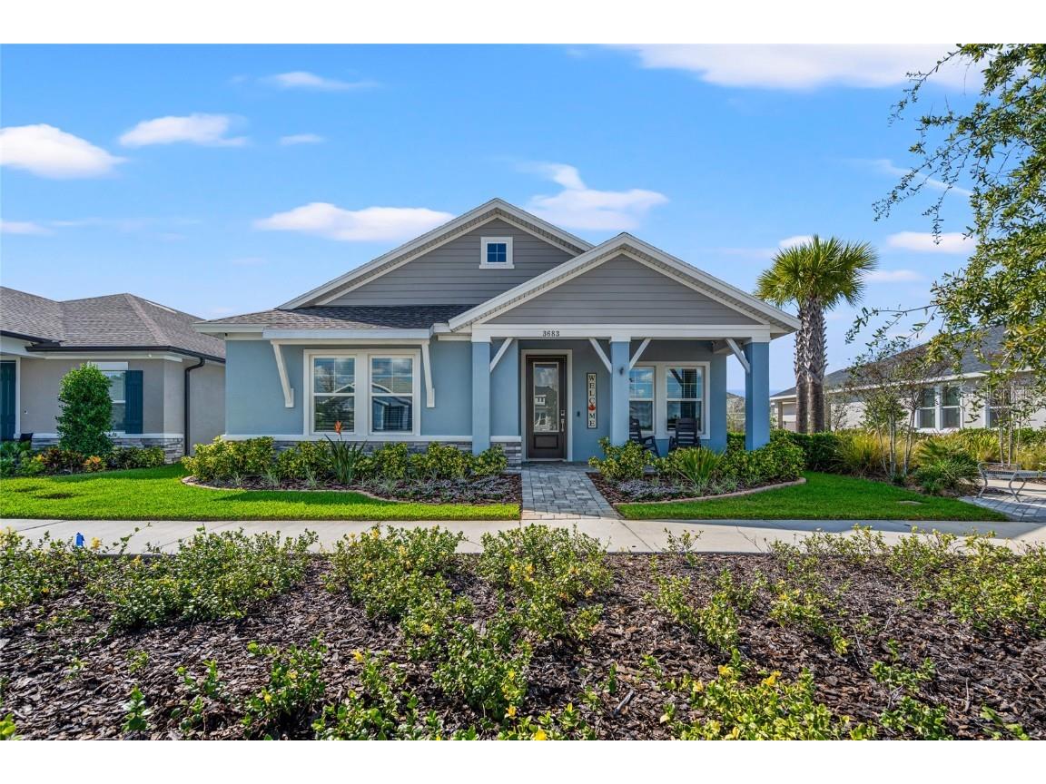 3683 Persimmon Park Drive Wesley Chapel FL 33543 T3481516 image1