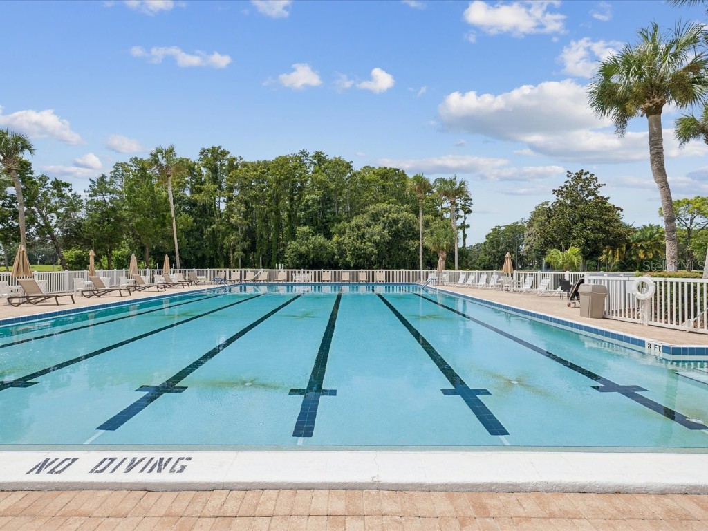 3683 Trophy Boulevard #7 New Port Richey FL 34655 TB8425264 image38