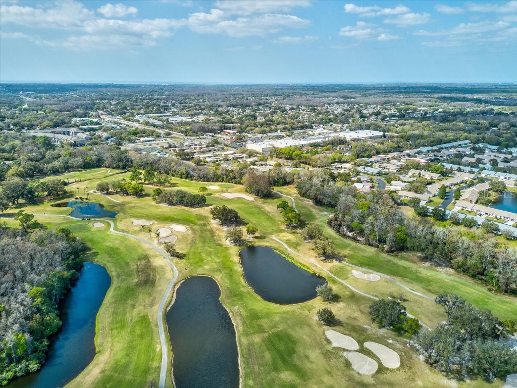 3683 Trophy Boulevard #7 New Port Richey FL 34655 TB8425264 image42