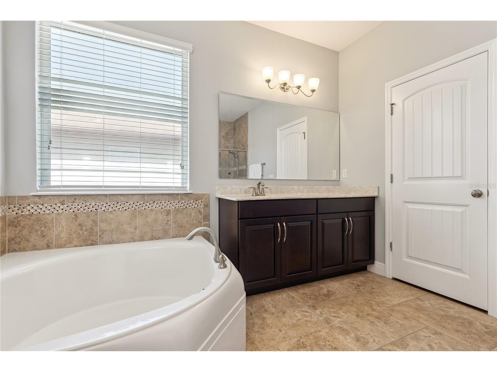 3684 Chandler Estates Drive Apopka FL 32712 O6419454 image29
