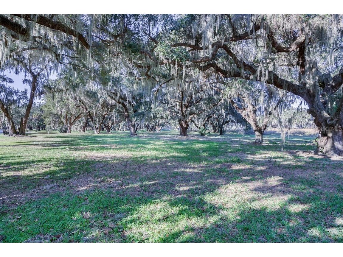 3684 Circle Hook St Kissimmee FL 34746 O6352951 image40