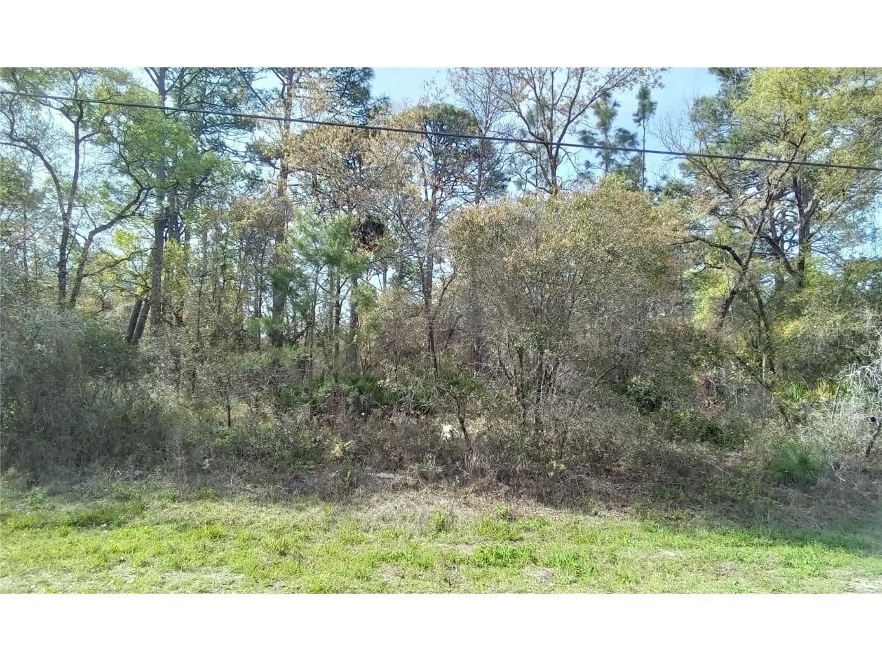 3684 W Fountain Lane Citrus Springs FL 34434 OM677072 image1