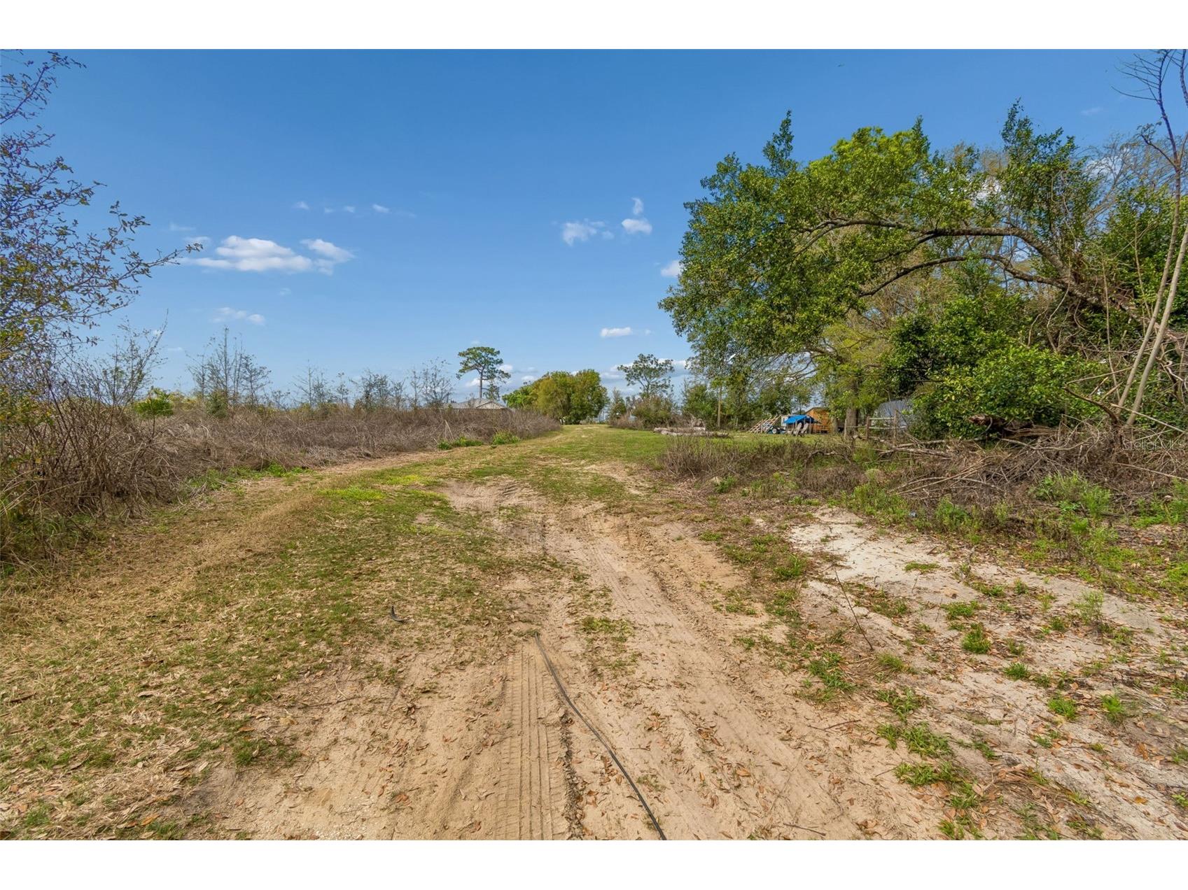 36841 Conley Street Zephyrhills FL 33541 TB8489918 image13