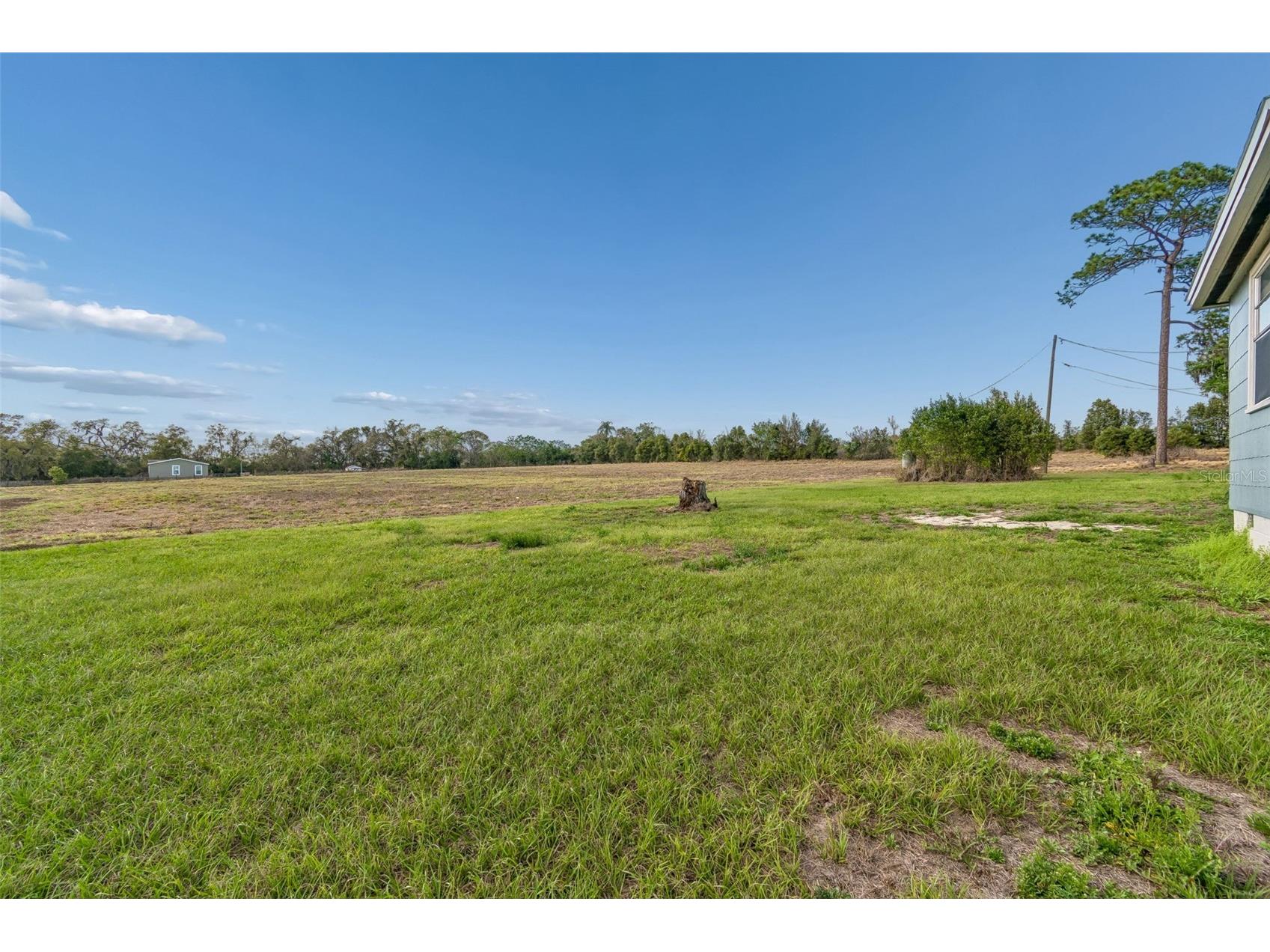 36841 Conley Street Zephyrhills FL 33541 TB8489918 image16