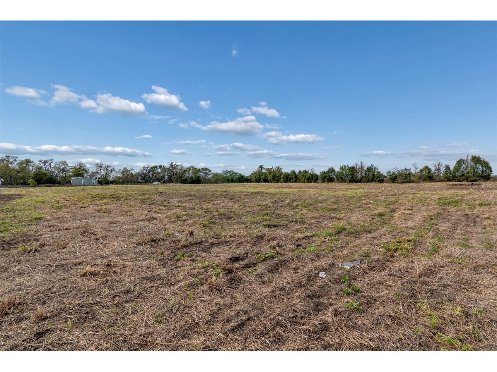 36841 Conley Street Zephyrhills FL 33541 TB8489918 image18
