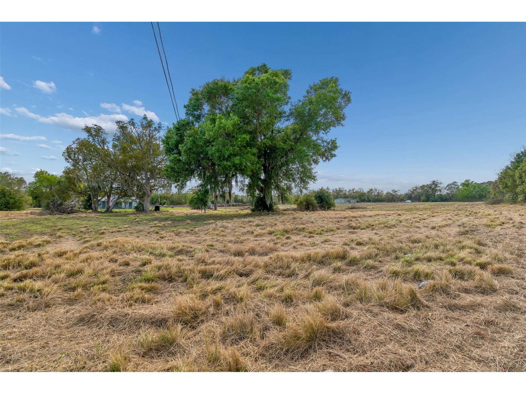 36841 Conley Street Zephyrhills FL 33541 TB8489918 image21