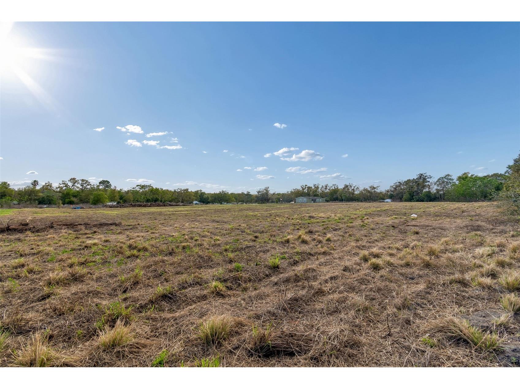 36841 Conley Street Zephyrhills FL 33541 TB8489918 image22