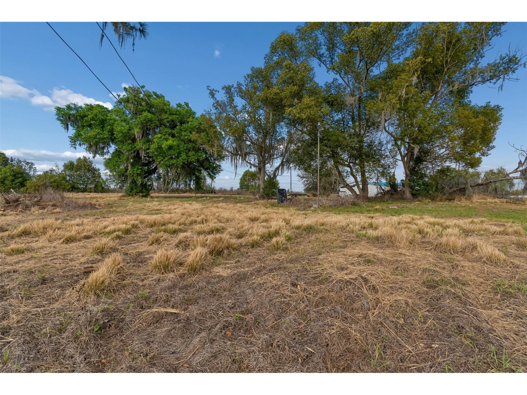 36841 Conley Street Zephyrhills FL 33541 TB8489918 image23