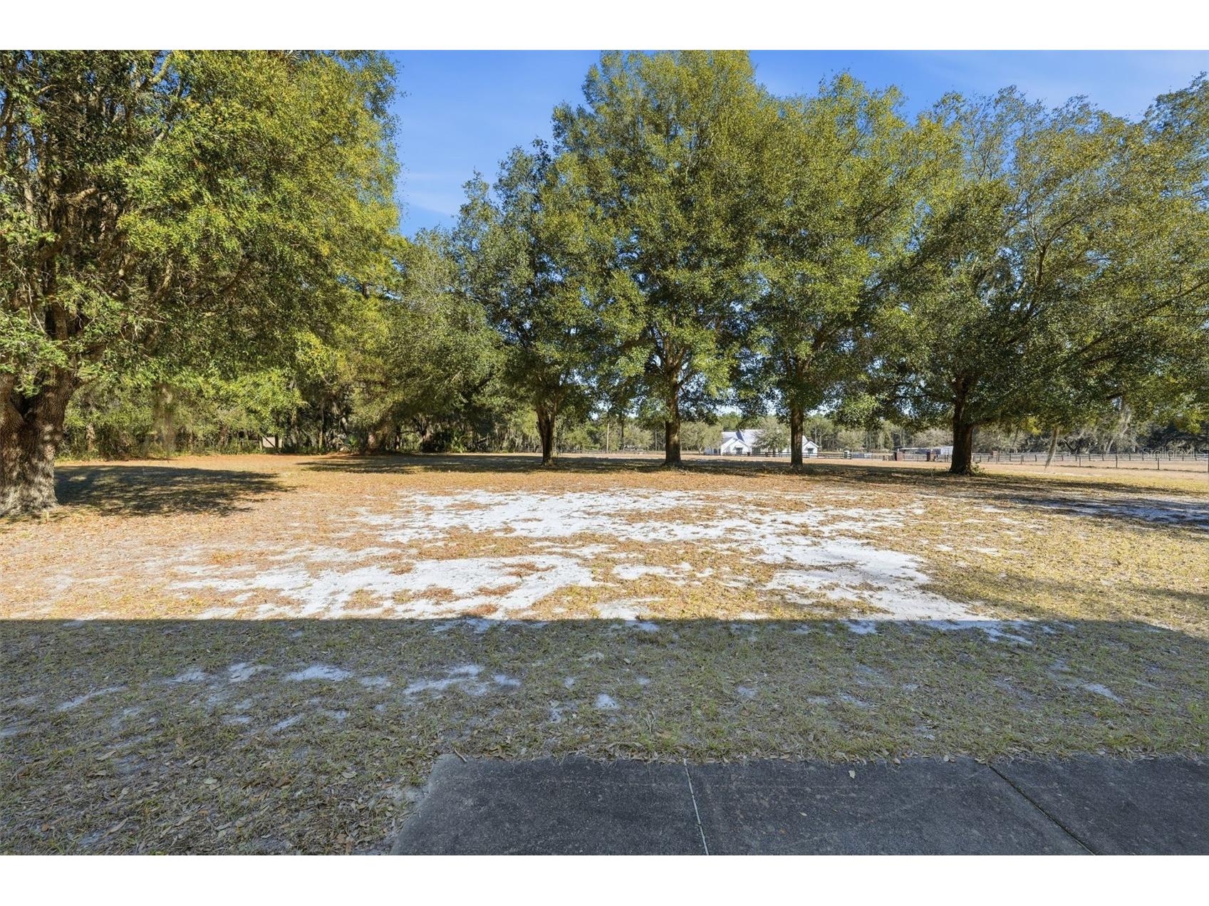 36841 Reserve Drive Eustis FL 32736 G5107993 image49