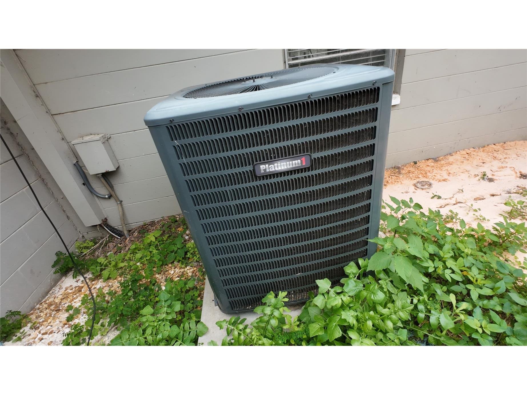 36845 Virginia Avenue Dade City FL 33523 TB8471299 image46