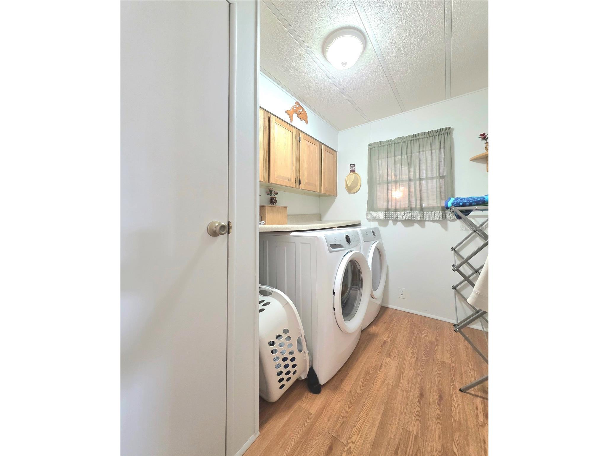 36847 Jodi Avenue Zephyrhills FL 33542 TB8463722 image24