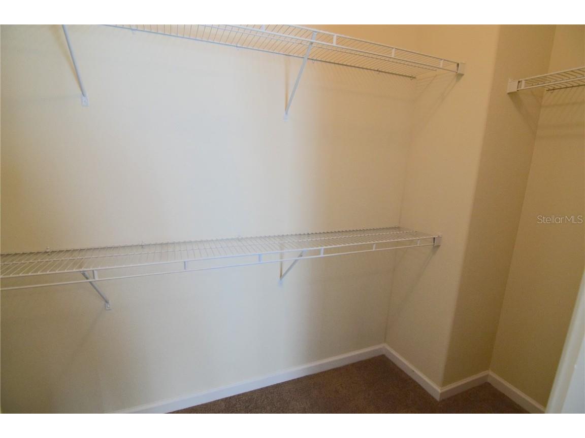 3685 Coconut Palm Circle Oviedo FL 32765 O6354997 image21