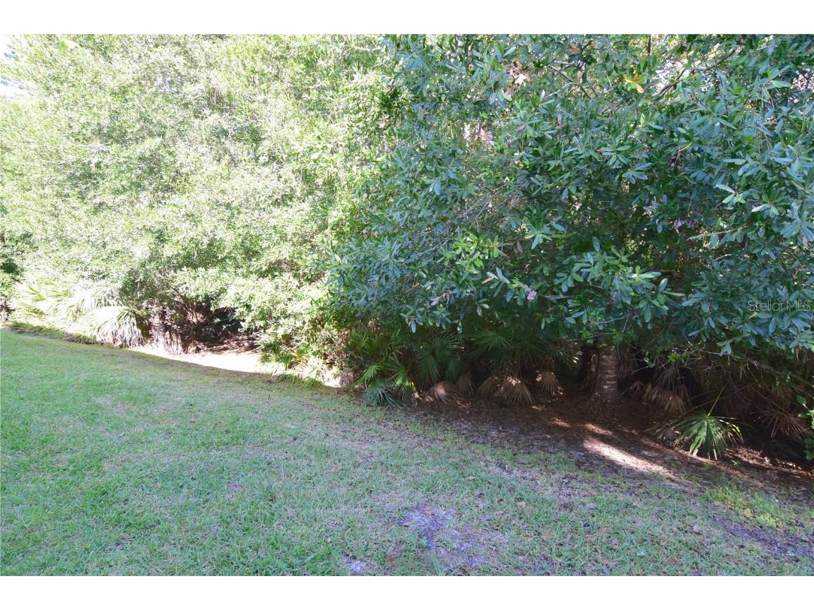 3685 Coconut Palm Circle Oviedo FL 32765 O6354997 image5