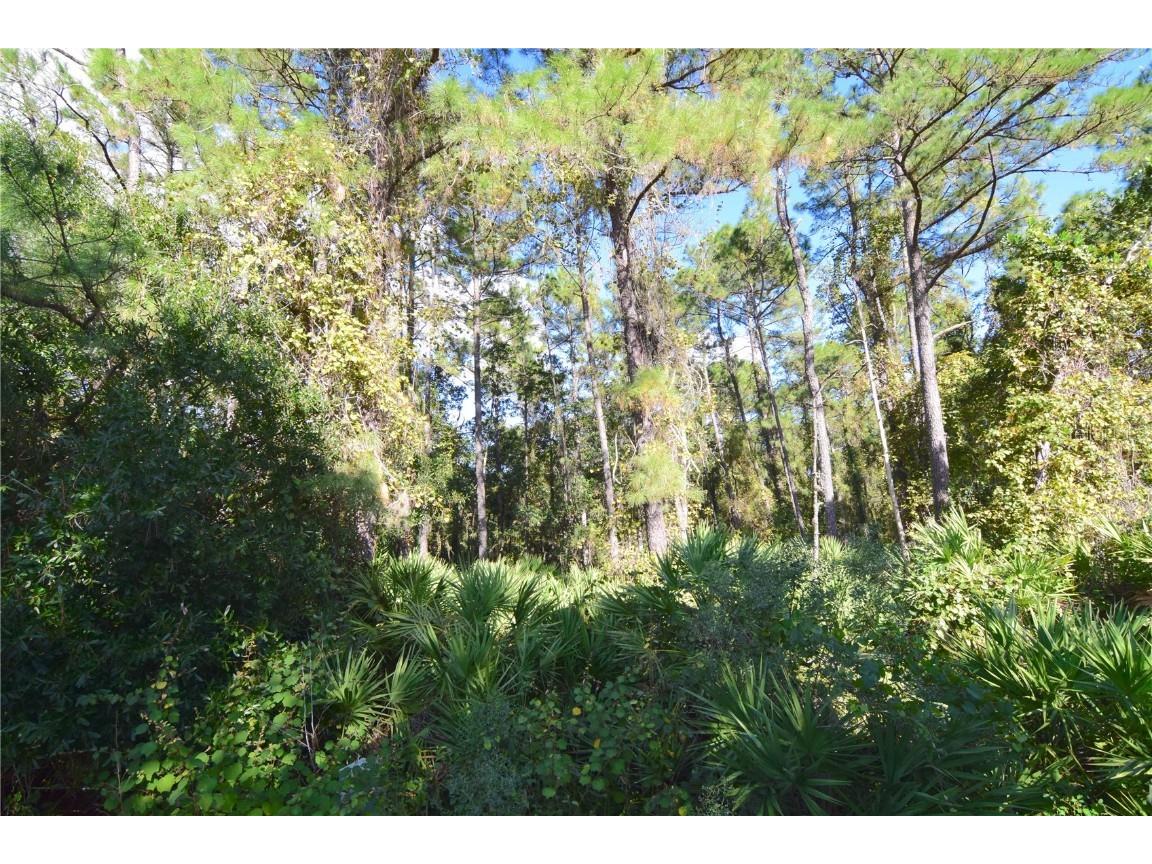 3685 Coconut Palm Circle Oviedo FL 32765 O6354997 image6