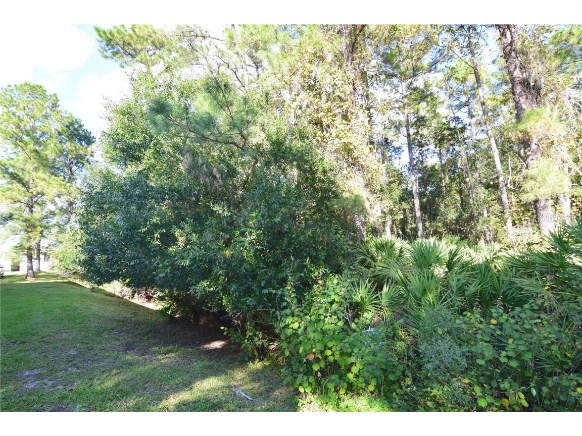 3685 Coconut Palm Circle Oviedo FL 32765 O6354997 image7