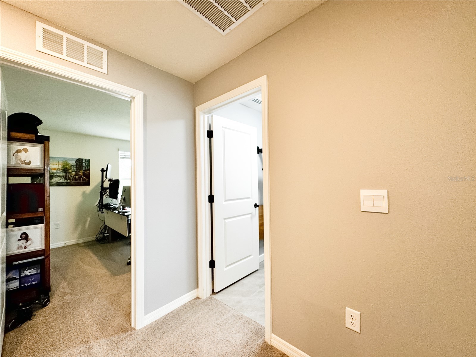 36851 Goffaux Loop Zephyrhills FL 33541 TB8435103 image28