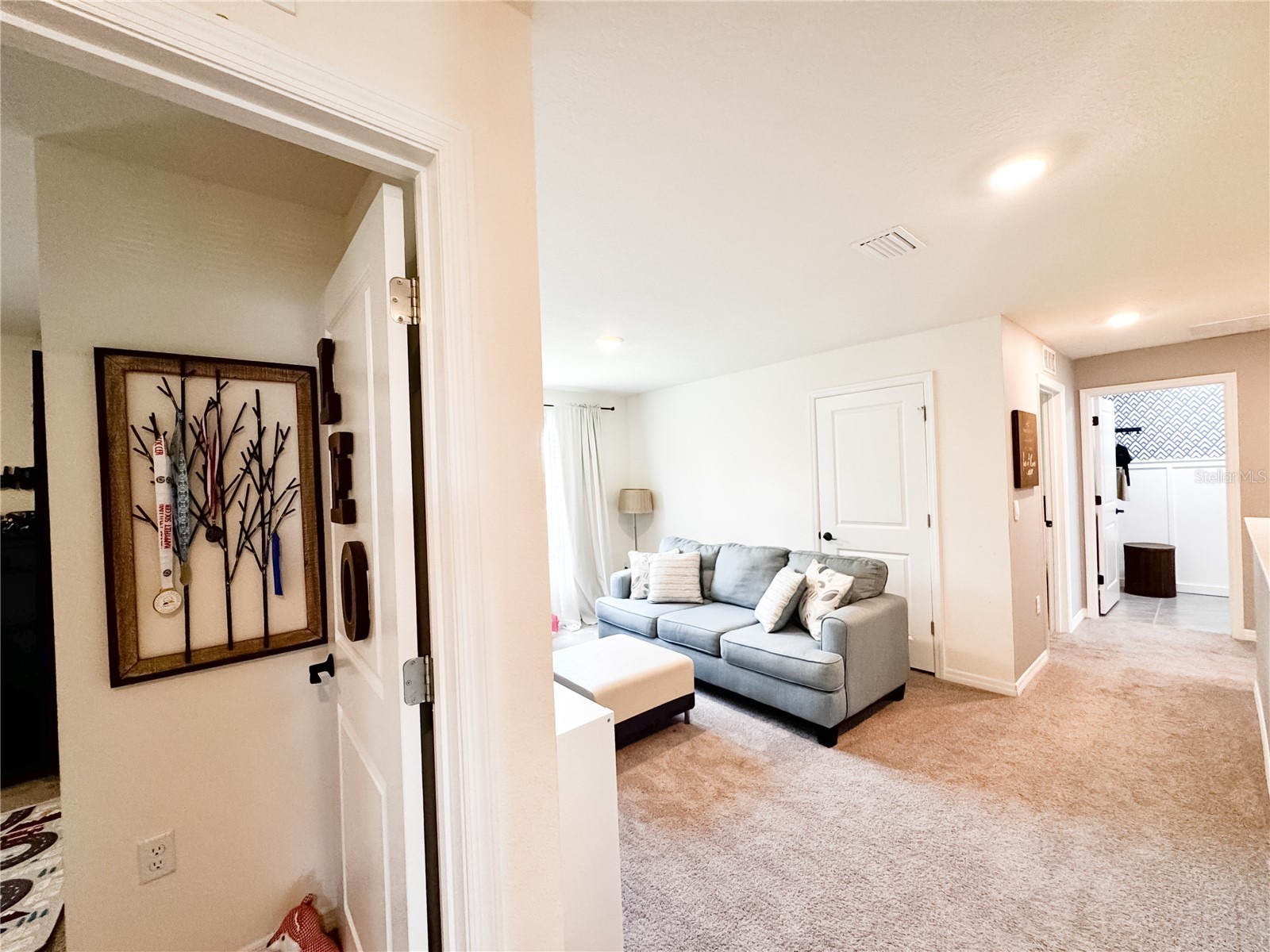 36851 Goffaux Loop Zephyrhills FL 33541 TB8435103 image47