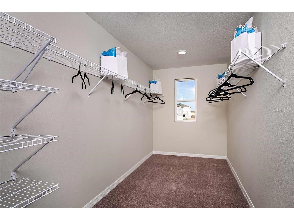 36858 Sagemoor Drive Zephyrhills FL 33541 TB8453666 image15