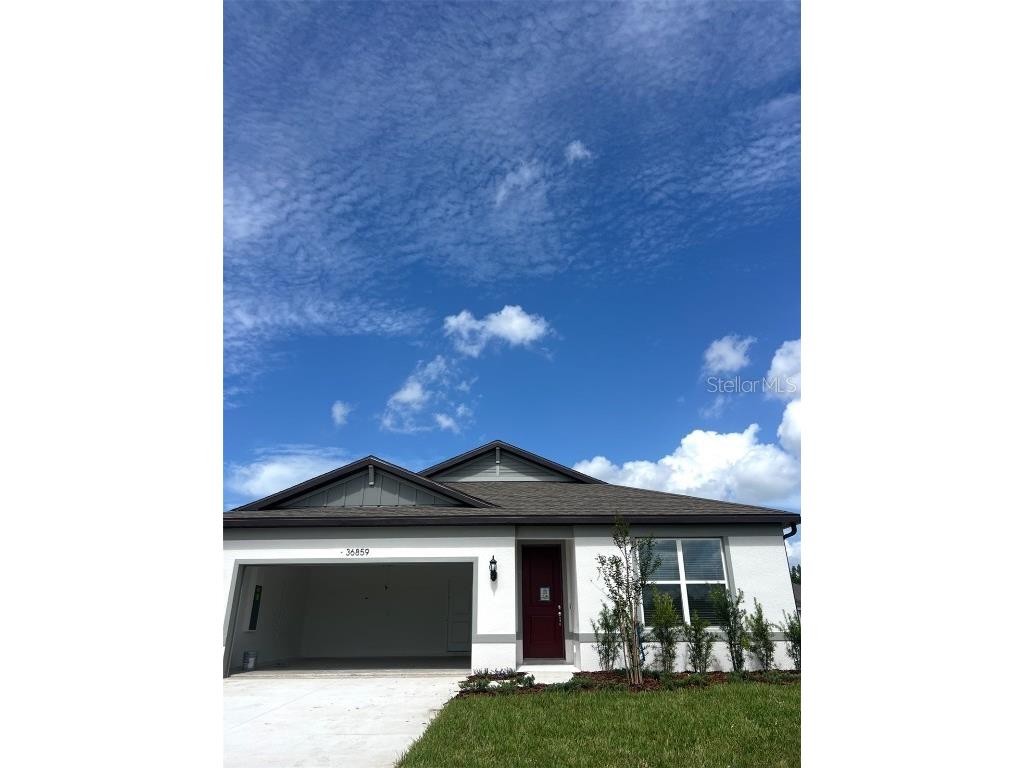 36859 Rio Grande Drive Zephyrhills FL 33540 J992099 image1