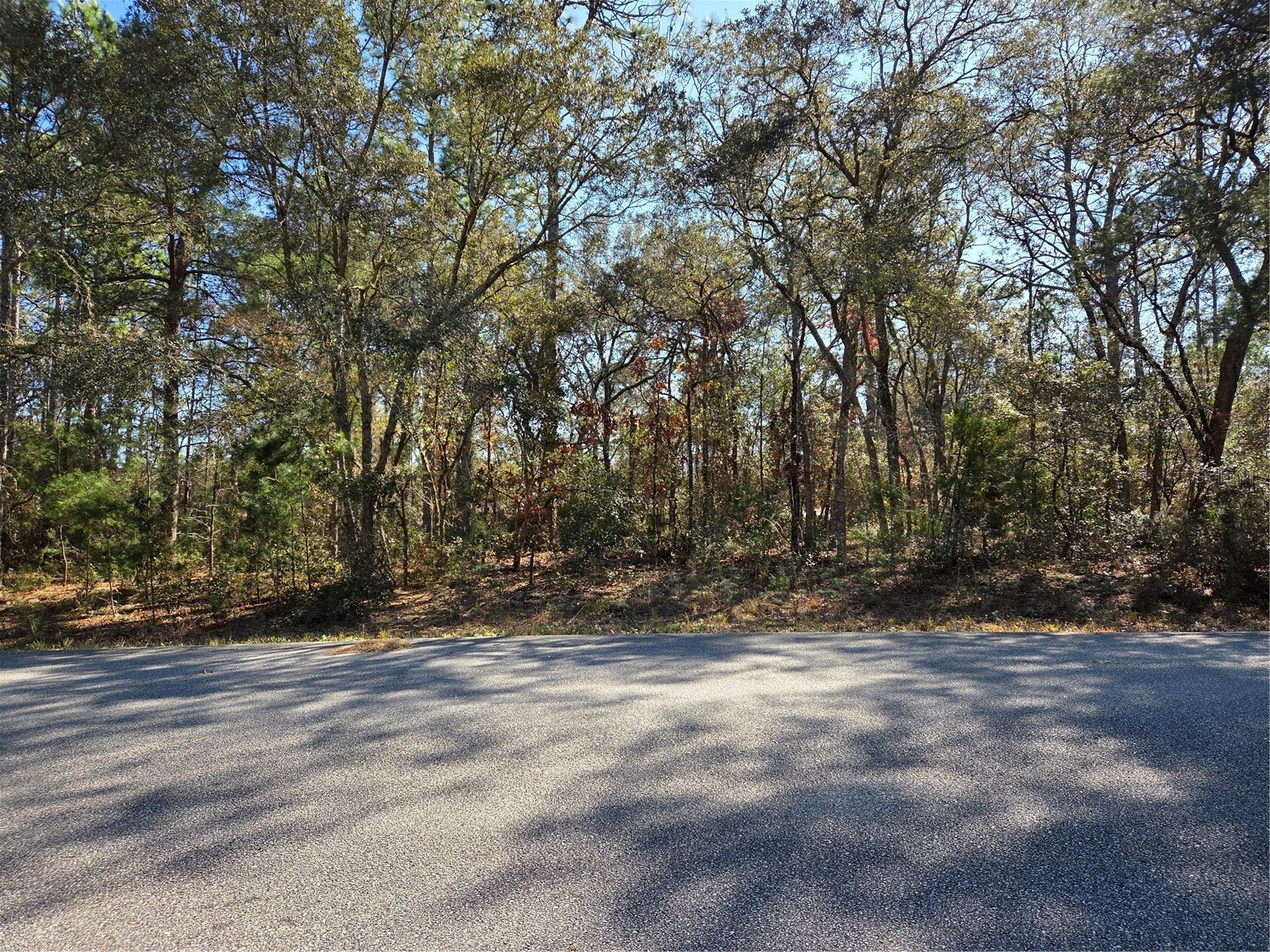 3686 W Parkview Drive Dunnellon FL 34433 OM717373 image1