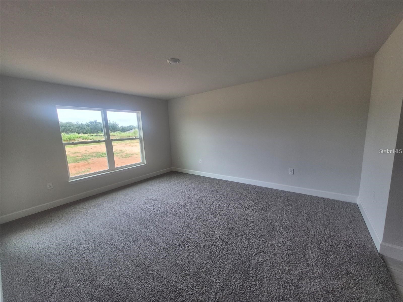 36861 Hidden View Circle Dade City FL 33523 TB8524754 image17