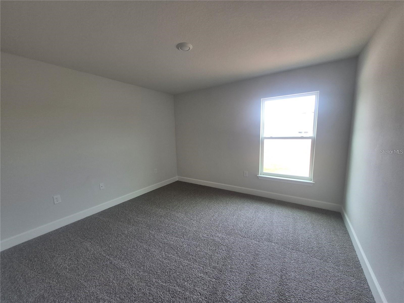 36861 Hidden View Circle Dade City FL 33523 TB8524754 image22