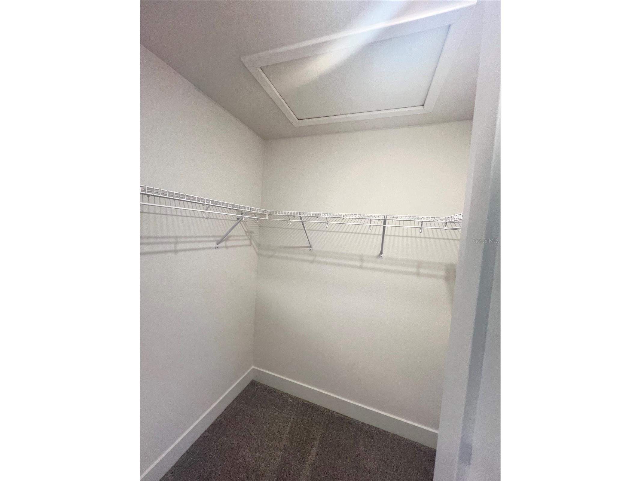 36861 Hidden View Circle Dade City FL 33523 TB8524754 image47