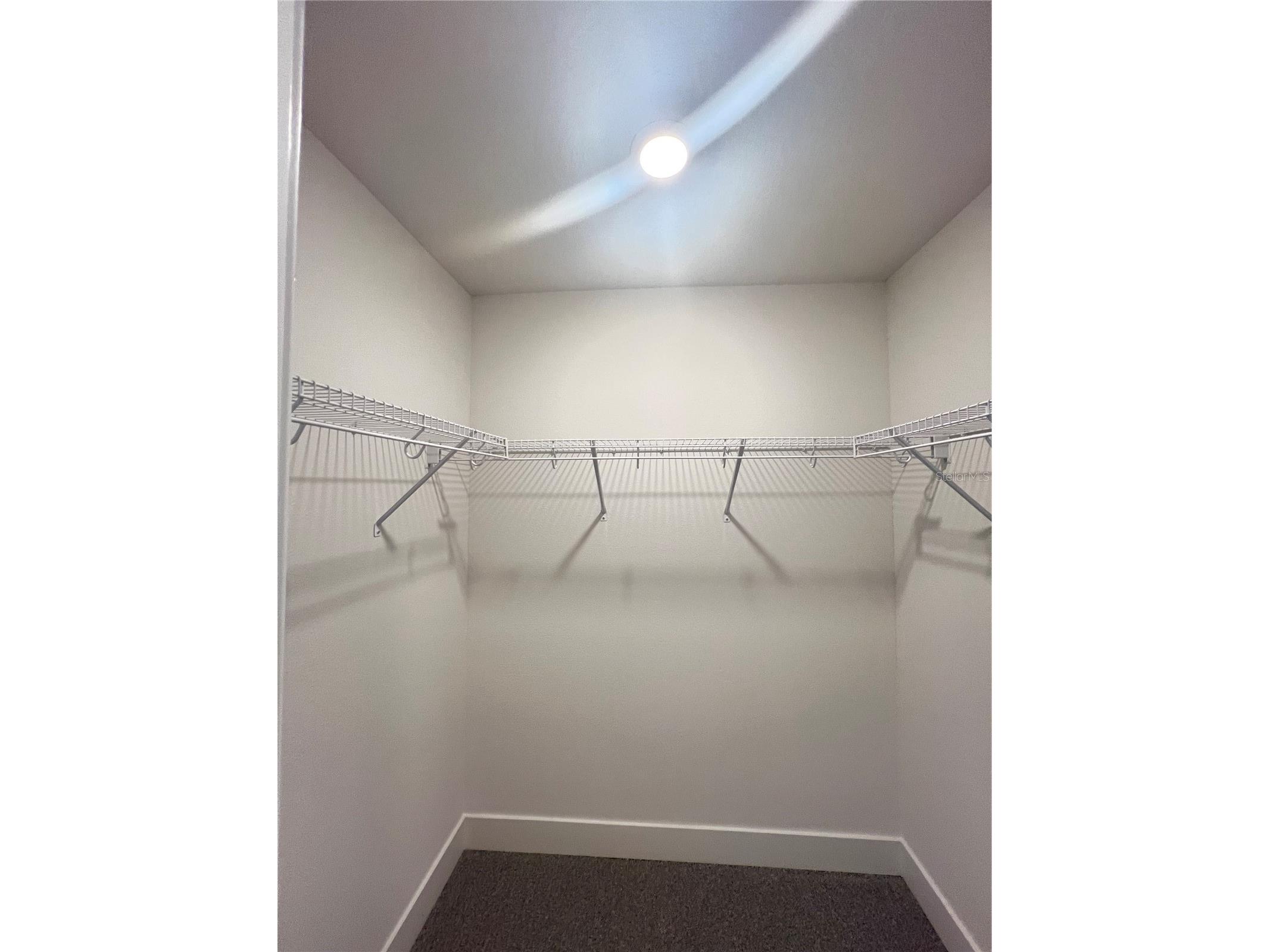 36861 Hidden View Circle Dade City FL 33523 TB8524754 image48