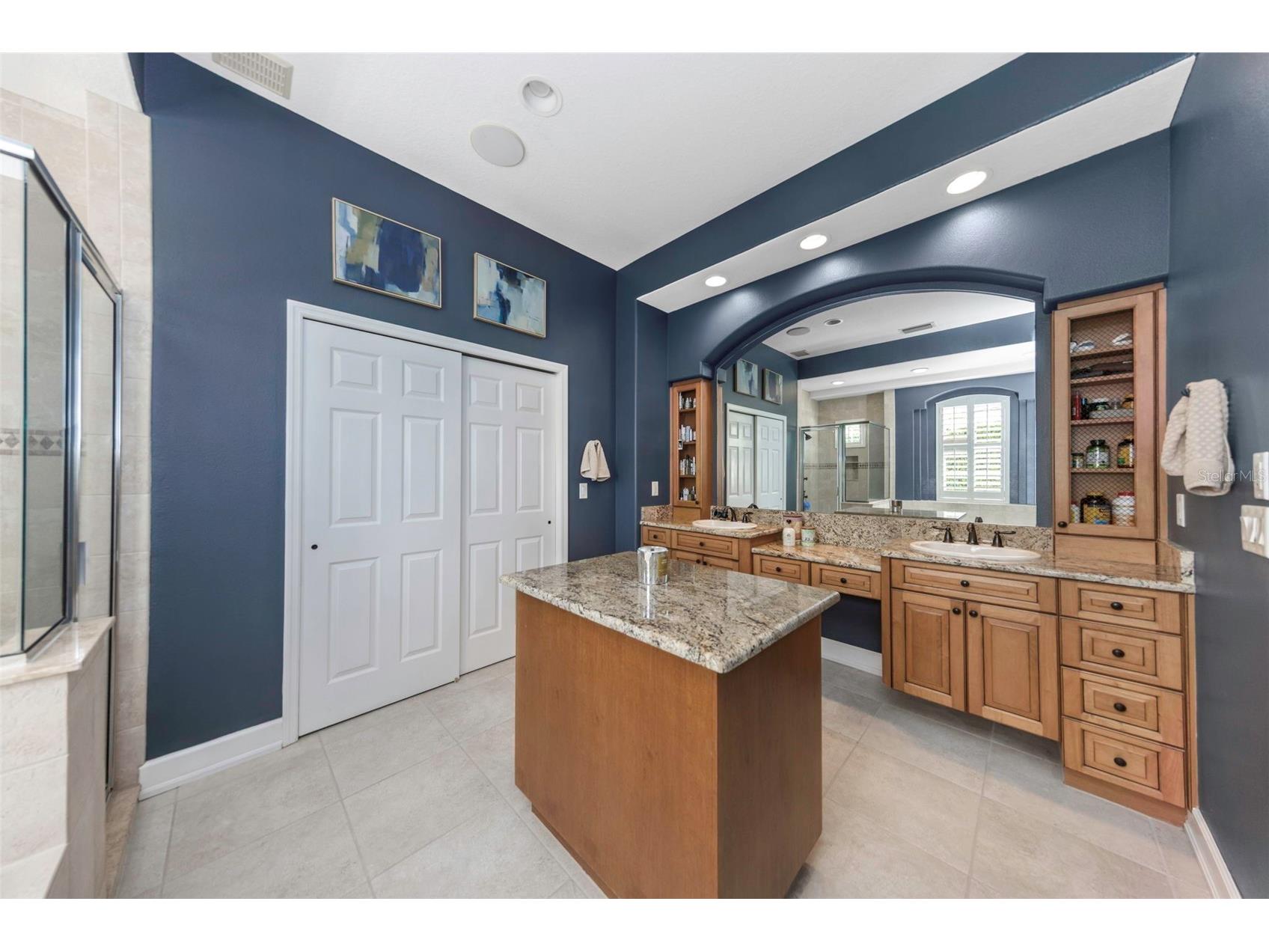 3687 Janus Way Palm Harbor FL 34685 TB8485383 image26