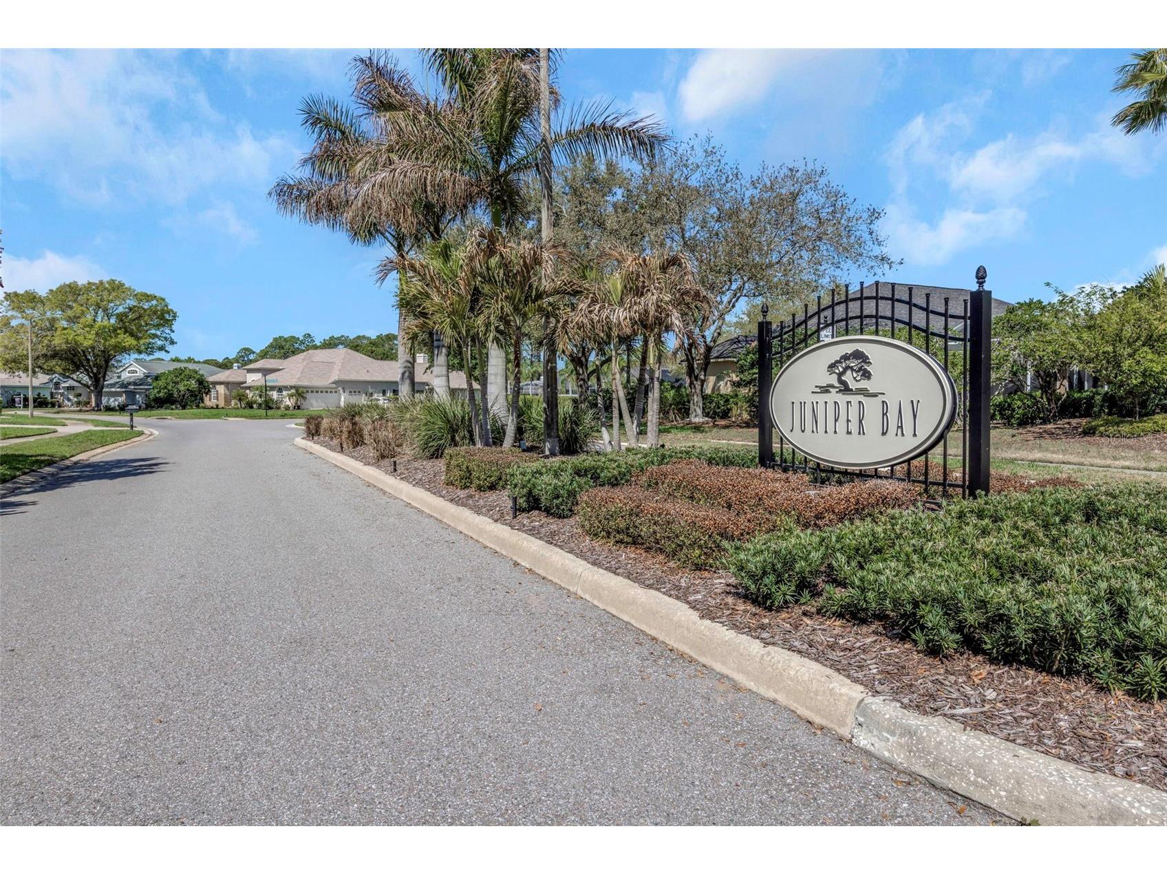 3687 Janus Way Palm Harbor FL 34685 TB8485383 image53
