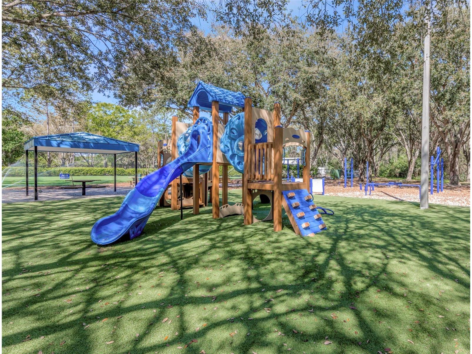 3687 Janus Way Palm Harbor FL 34685 TB8485383 image54