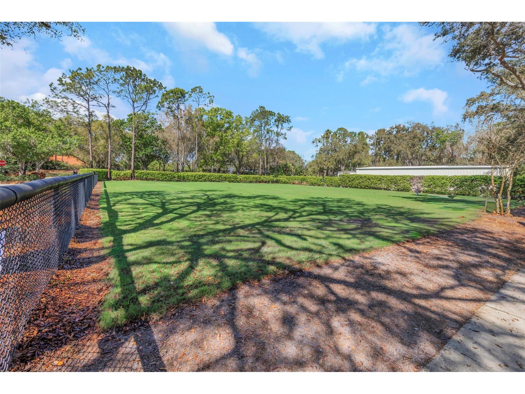 3687 Janus Way Palm Harbor FL 34685 TB8485383 image56