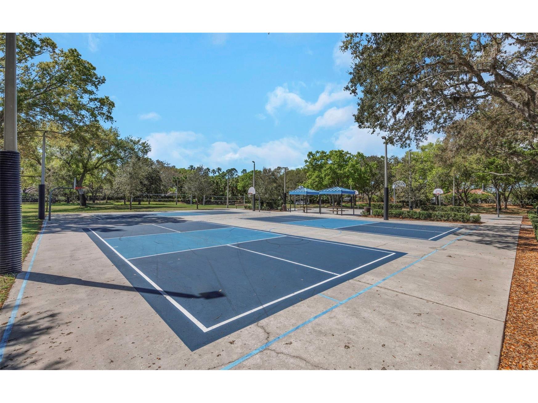 3687 Janus Way Palm Harbor FL 34685 TB8485383 image59