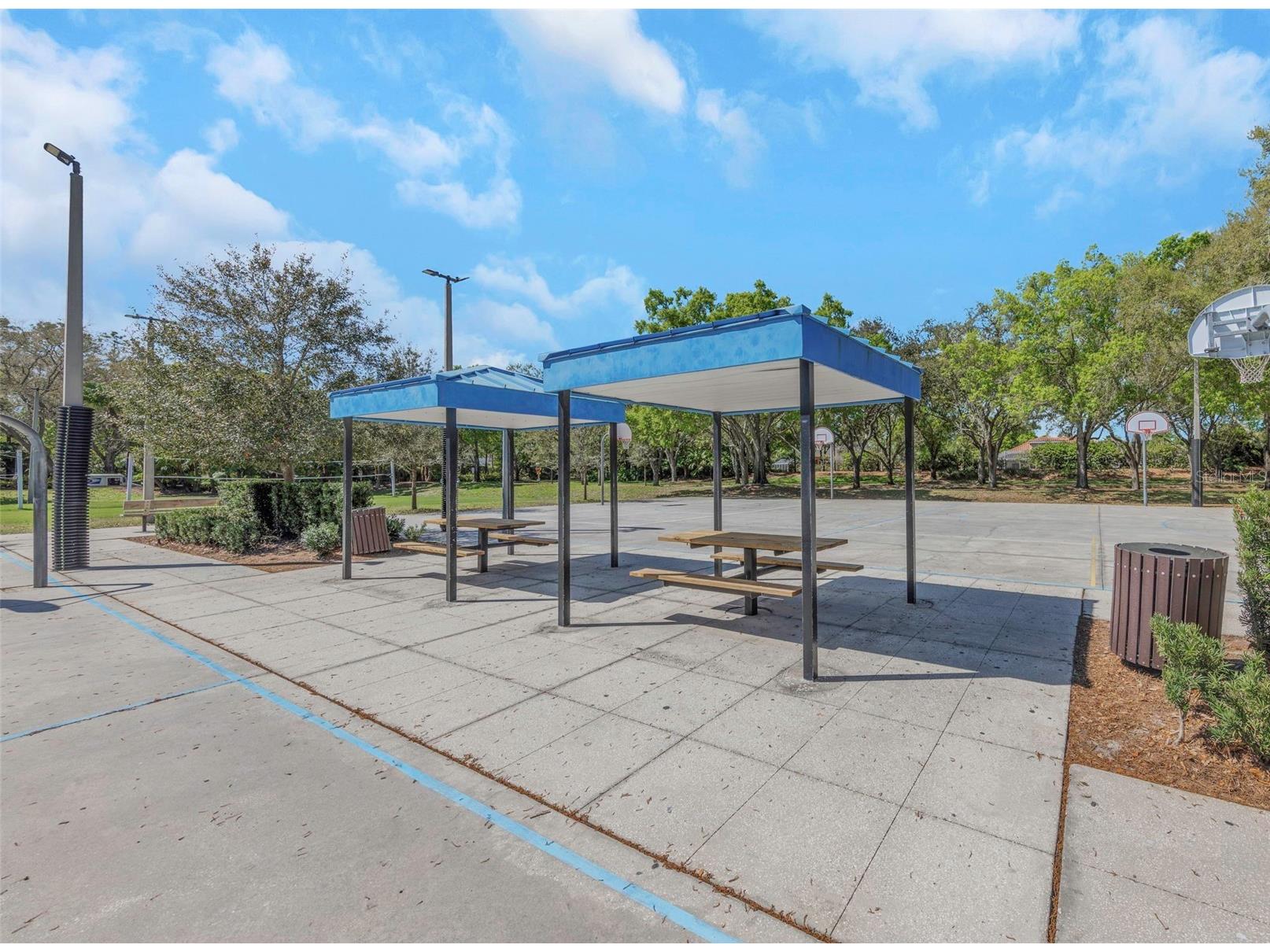 3687 Janus Way Palm Harbor FL 34685 TB8485383 image60