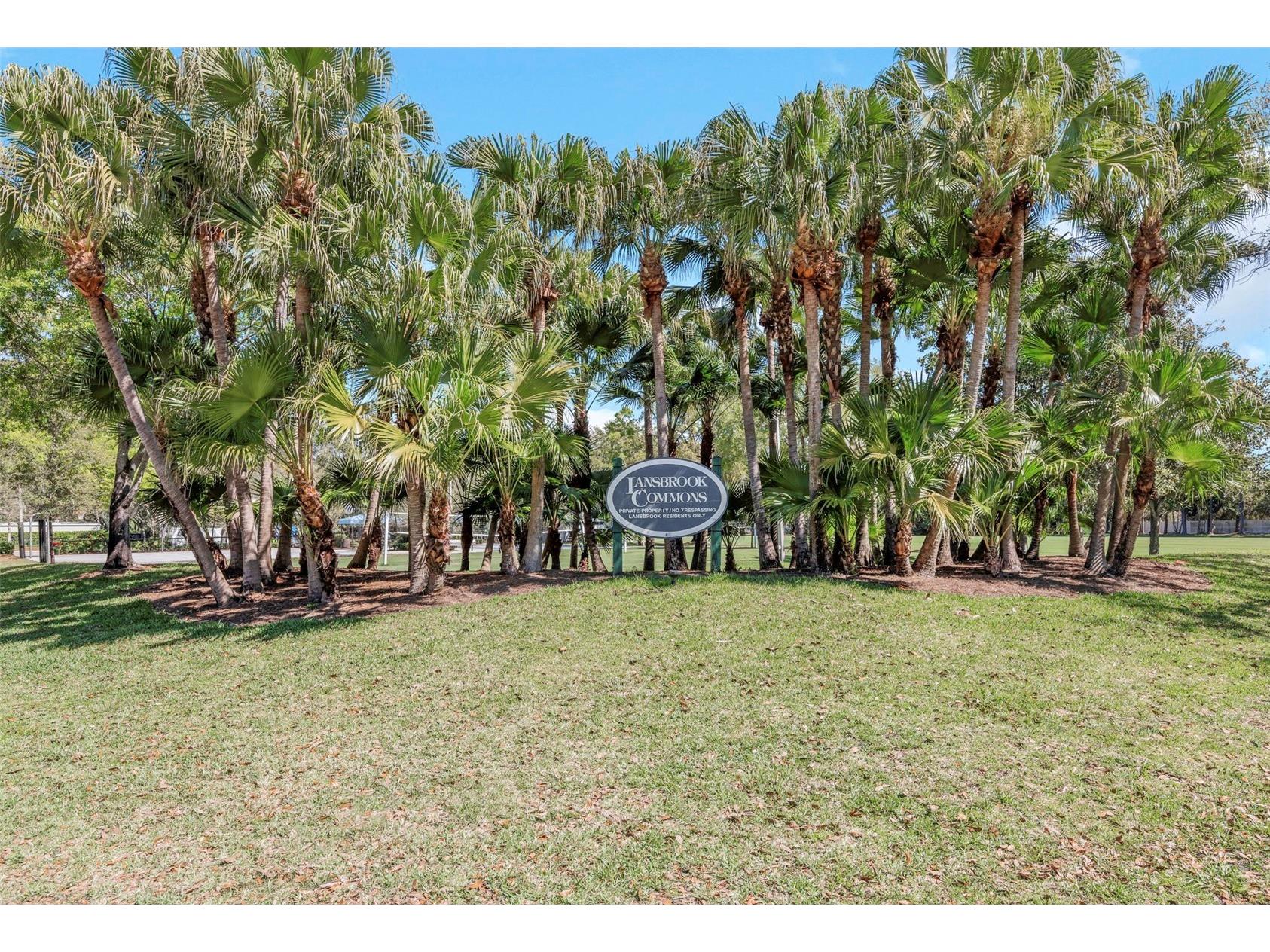 3687 Janus Way Palm Harbor FL 34685 TB8485383 image63