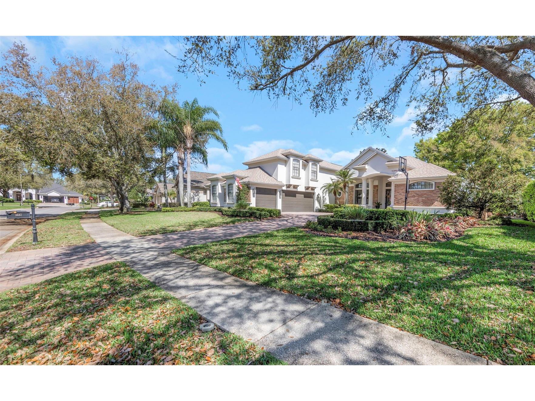 3687 Janus Way Palm Harbor FL 34685 TB8485383 image66