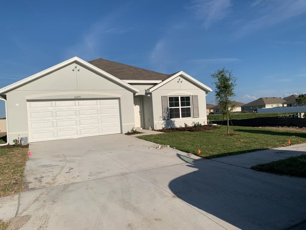 36874 Goofaux Cir Zephyrhills FL 33541 J961938 image1